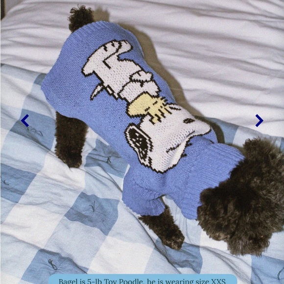 Little Beast Peanuts Snoopy Blue Dog Sweater - Picture 5 of 5